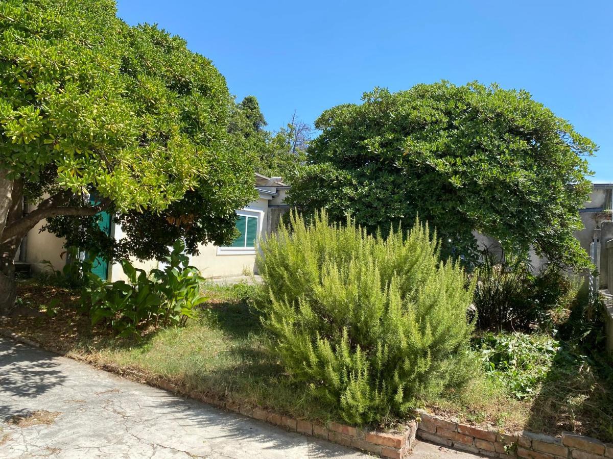 Ferienwohnung Zadar-City Kültér fotó